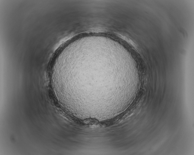 X0000112911160200909141245