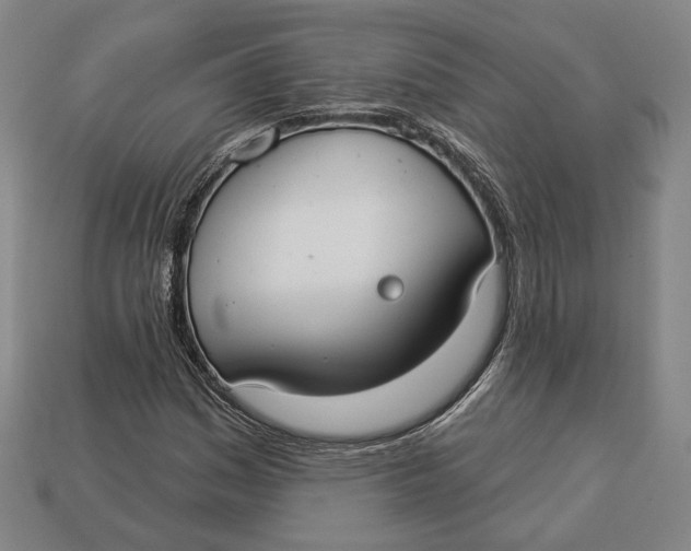 X0000112911161200909141245