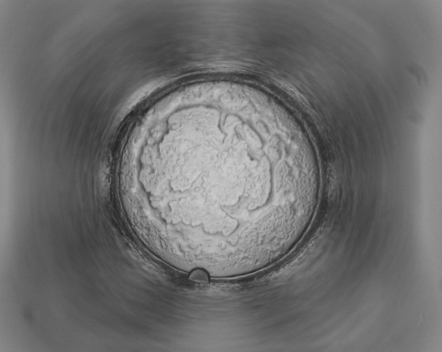 X0000112911163200909141244