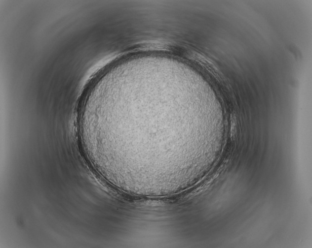 X0000112911164200909141244