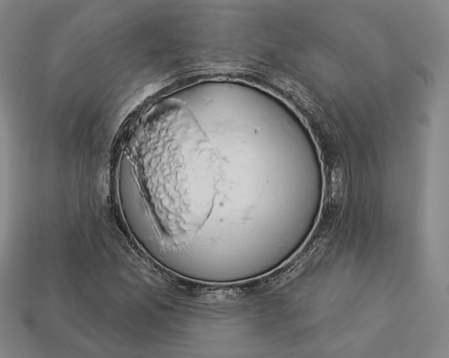 X0000112911165200909141244