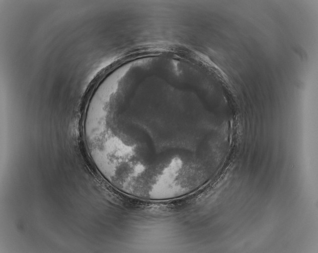 X0000112911166200909141244