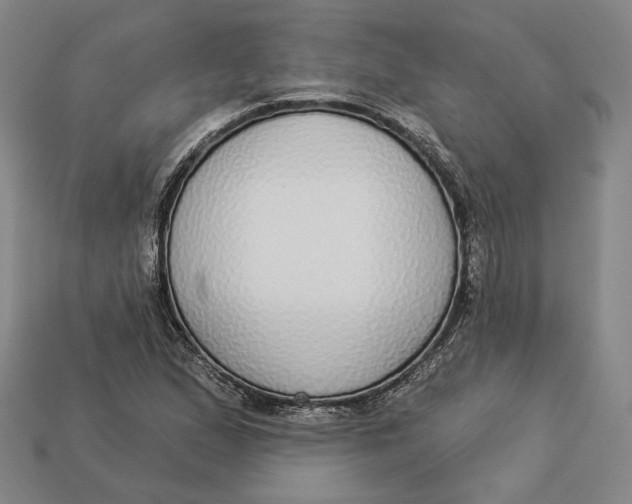 X0000112911167200909141244