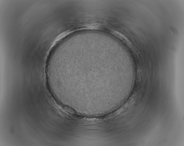 X0000112911168200909141244