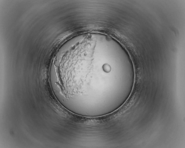 X0000112911169200909141244