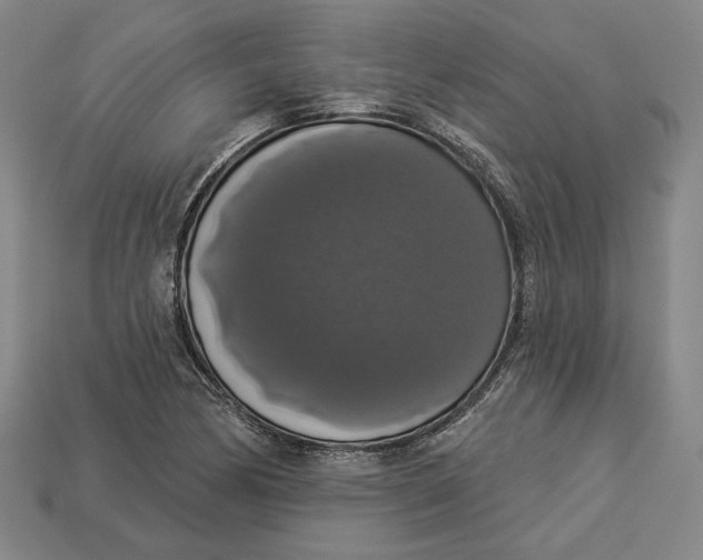 X0000112911170200909141244