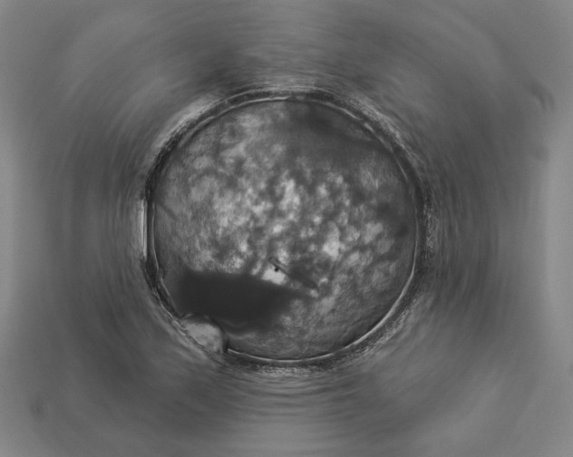 X0000112911171200909141244