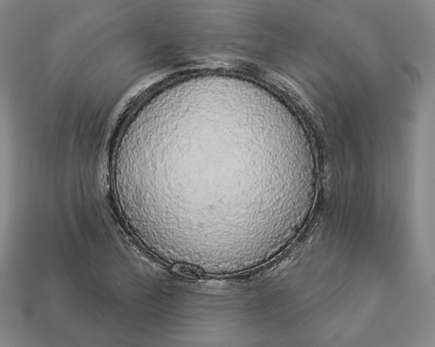 X0000112911172200909141244