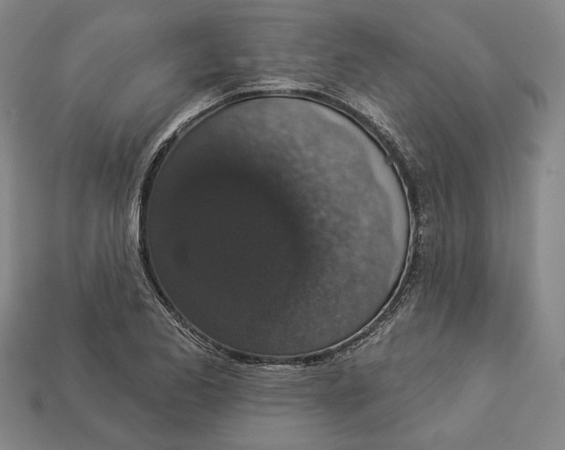 X0000112911173200909141244