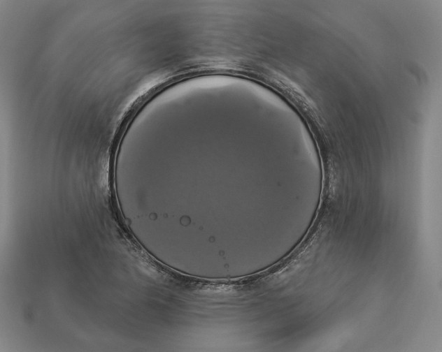 X0000112911174200909141244