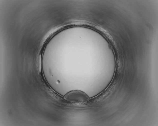 X0000112911175200909141244