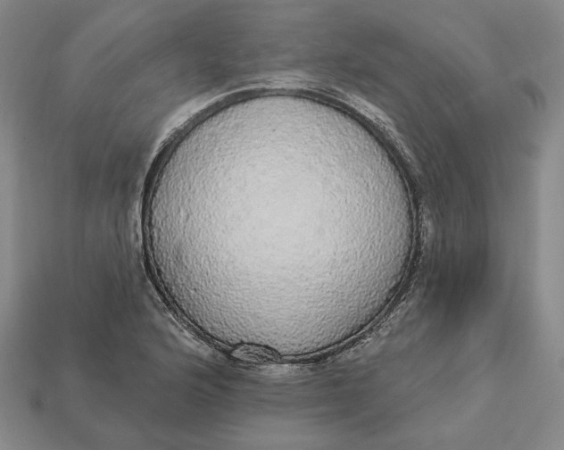 X0000112911176200909141244