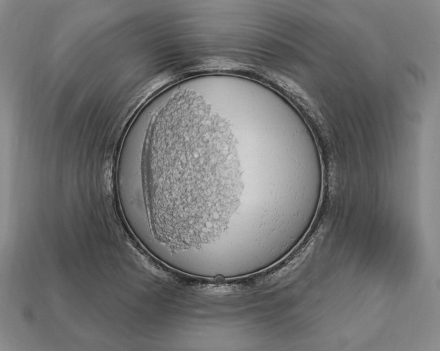 X0000112911177200909141244