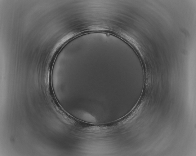 X0000112911179200909141244