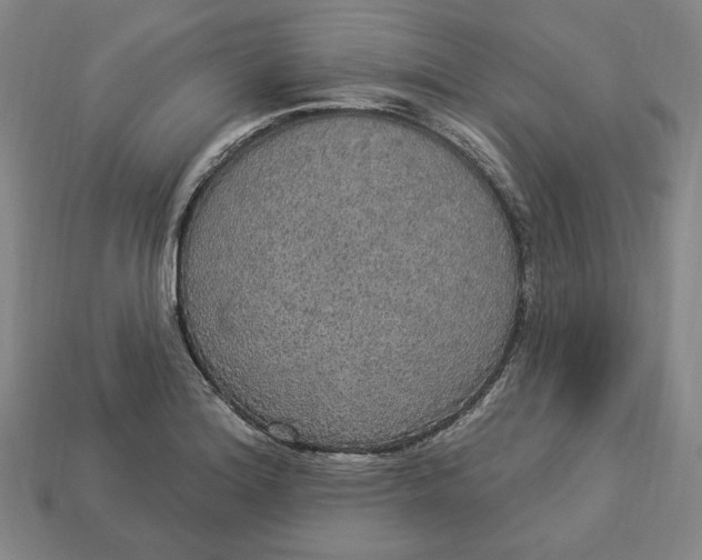 X0000112911180200909141244