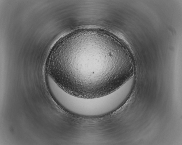 X0000112911181200909141244