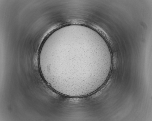 X0000112911182200909141244