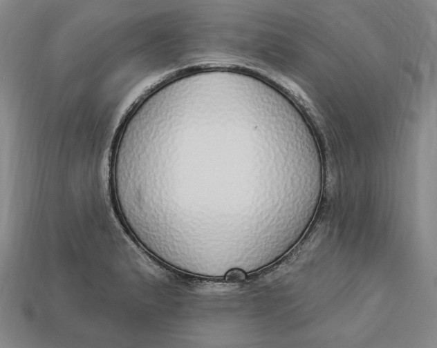 X0000112911183200909141244