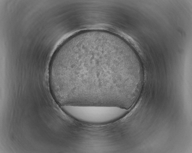 X0000112911184200909141244