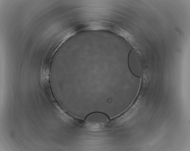 X0000112911185200909141244