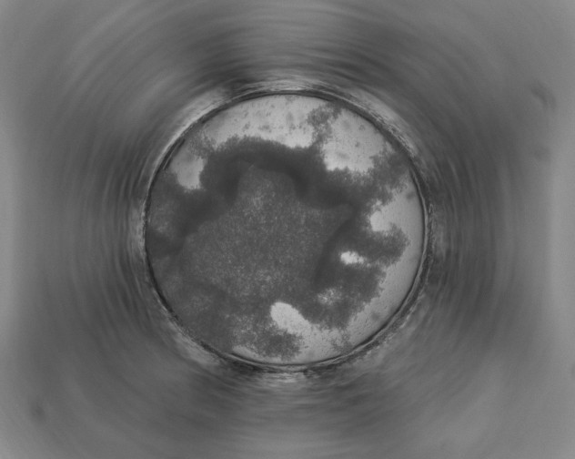 X0000112911186200909141244