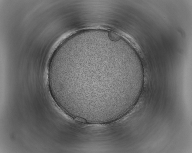 X0000112911188200909141244