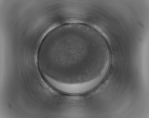 X0000112911189200909141244