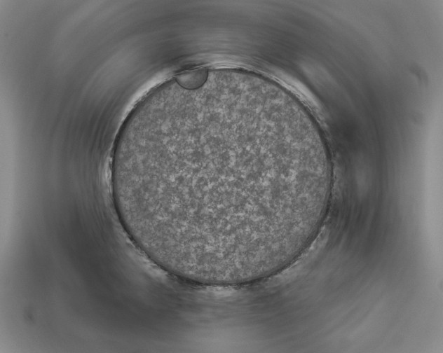 X0000112911190200909141244