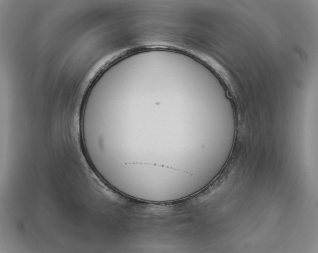 X0000112911191200909141244