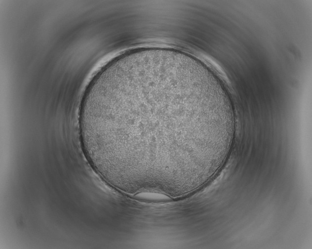 X0000112911192200909141244