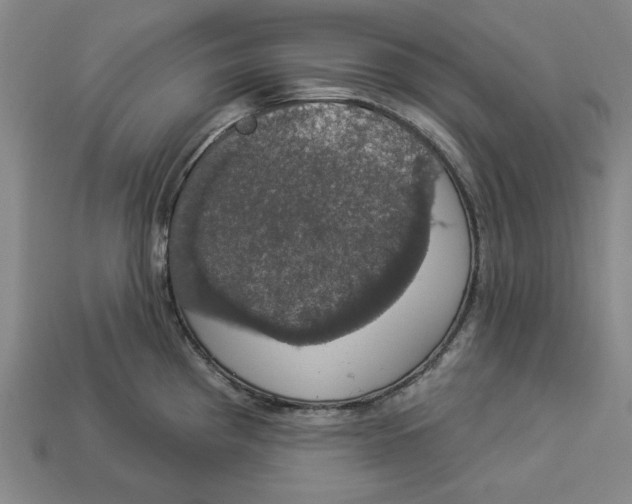 X0000112911193200909141244