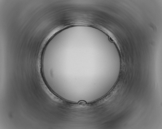 X0000112911195200909141244