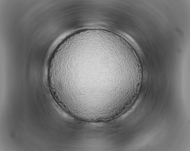 X0000112911196200909141244