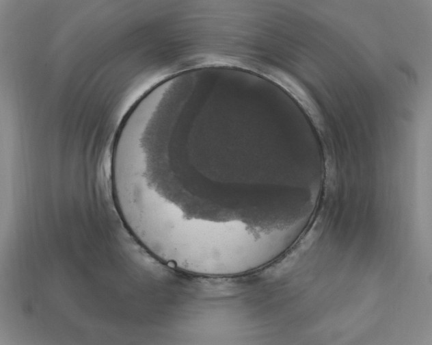 X0000112911198200909141244