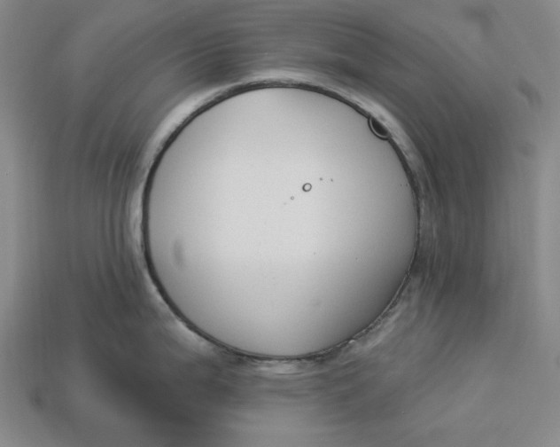 X0000112911199200909141244