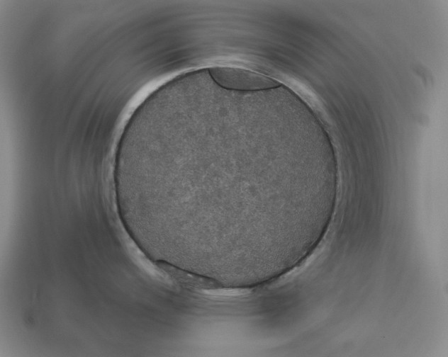 X0000112911200200909141244