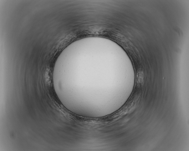 X0000112911202200909141243