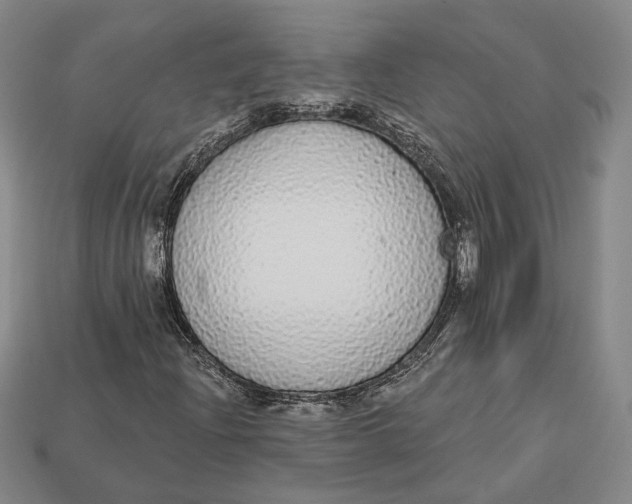 X0000112911204200909141243