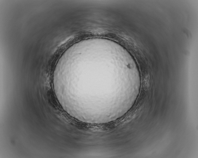 X0000112911205200909141243