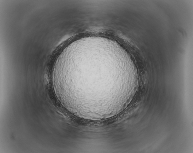 X0000112911206200909141243