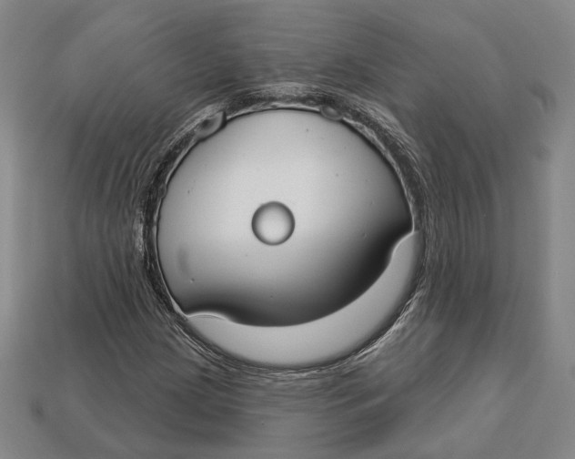 X0000112911209200909141243