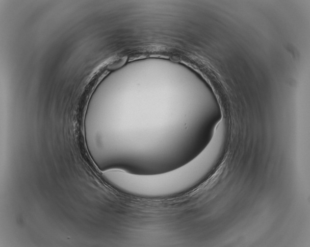 X0000112911210200909141244