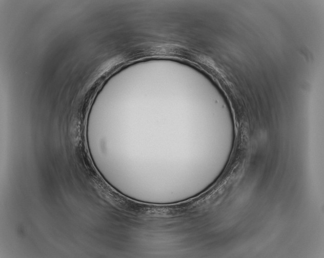 X0000112911211200909141244