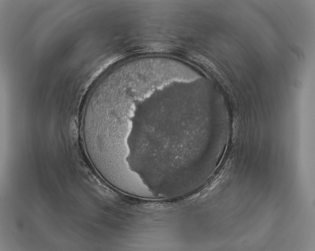 X0000112911212200909141244