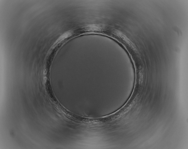 X0000112911213200909141244