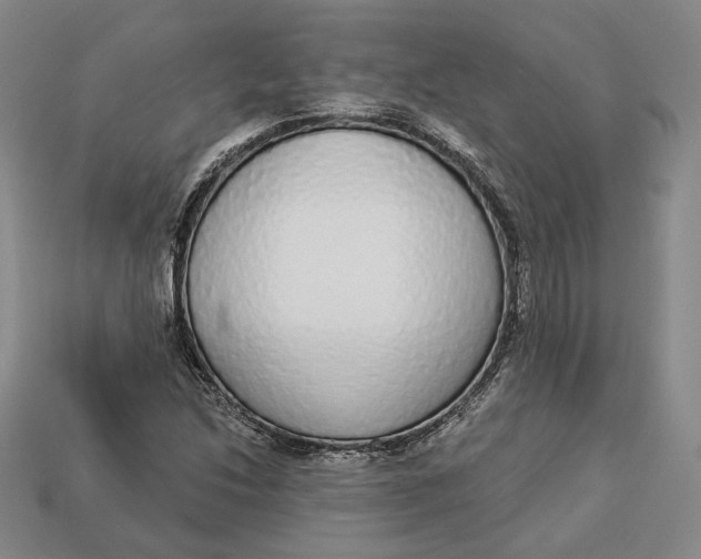 X0000112911214200909141244