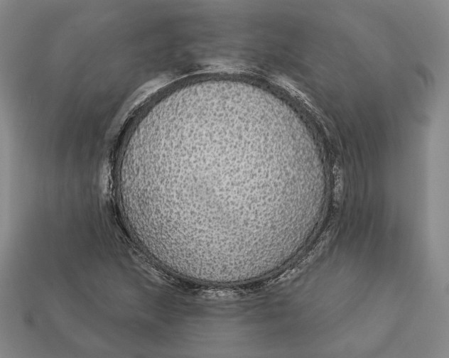 X0000112911215200909141244