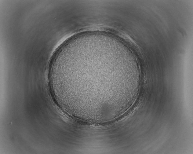 X0000112911216200909141244