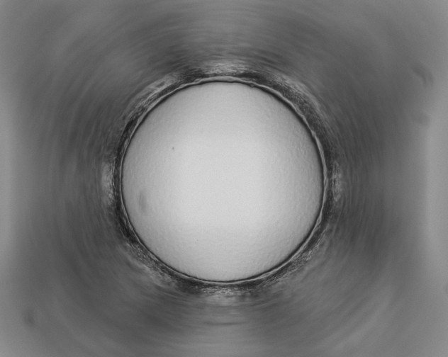 X0000112911217200909141244