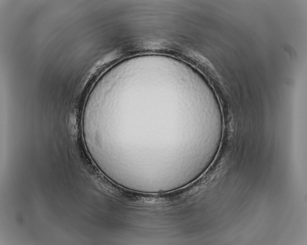 X0000112911218200909141244